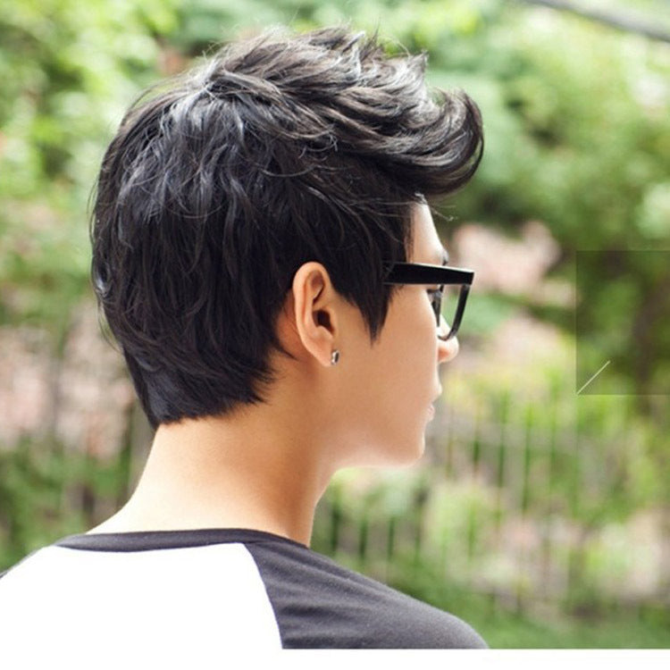 Short Curly Black Wig for Men, Natural Texture Synthetic Wig, Realistic Hairline Daily Wear Wig for Men